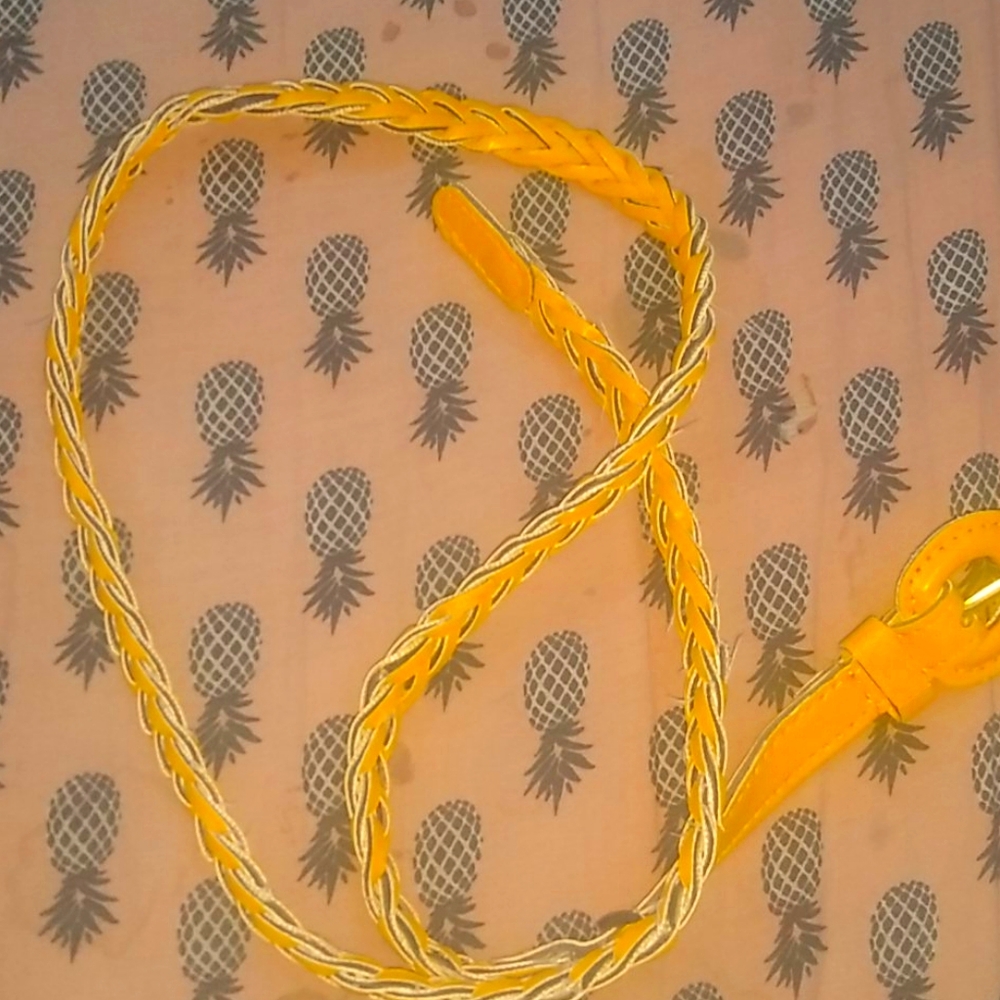 Yellow brain belt